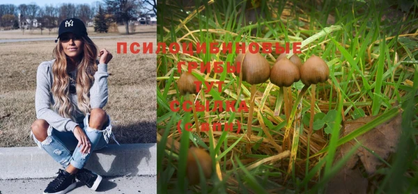 прущая мука Кулебаки