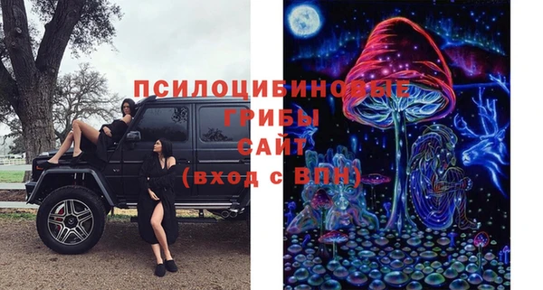 прущая мука Кулебаки
