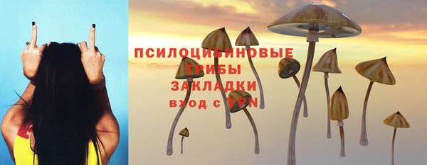 прущая мука Кулебаки