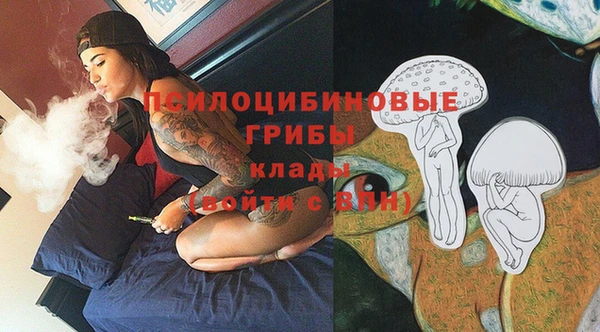 прущая мука Кулебаки