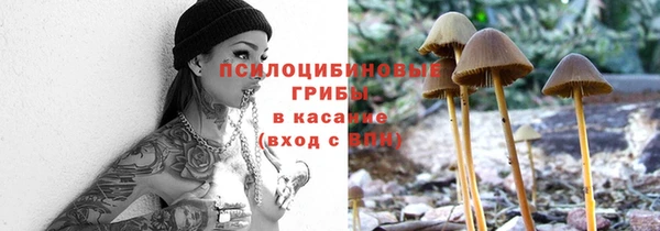 прущая мука Кулебаки