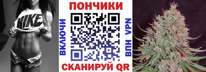 Канабис SATIVA & INDICA  Купить  Красный Кут 